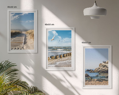 Tavelpaket med ramar Strandens trästig klippor