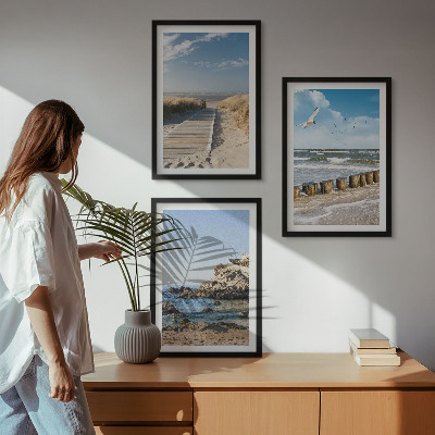 Tavelpaket med ramar Strandens trästig klippor