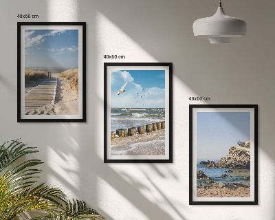 Tavelpaket med ramar Strandens trästig klippor