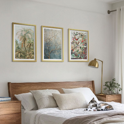 Tavelset ovanför soffa Tropiska växter fåglar natur