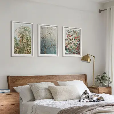 Tavelset för vägg ovanför soffa med motiv av tropiska växter och fåglar i naturen