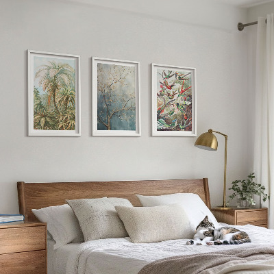 Tavelset ovanför soffa Tropiska växter fåglar natur