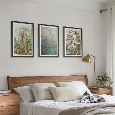 Tavelset för vägg ovanför soffa med motiv av tropiska växter och fåglar i naturen