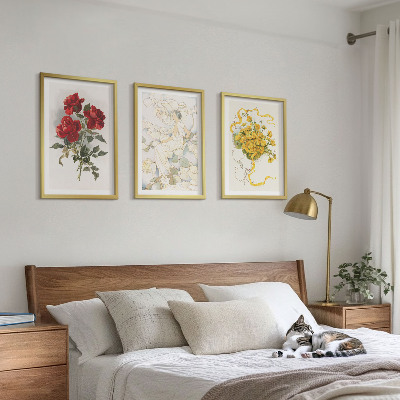 Tavelset ovanför soffa Rosor rödvit form