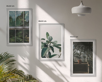 Tavelpaket med ramar Gröna blad på fönsterväxten