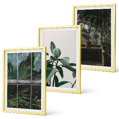 Tavelpaket med ramar Gröna blad på fönsterväxten