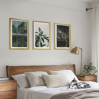 Tavelpaket med ramar Gröna blad på fönsterväxten