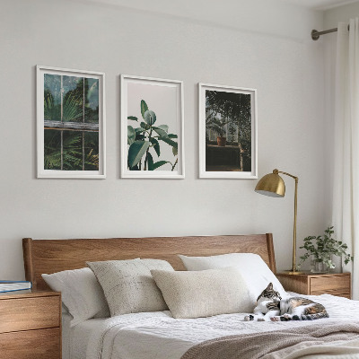 Tavelpaket med ramar Gröna blad på fönsterväxten