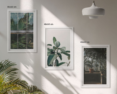 Tavelpaket med ramar Gröna blad på fönsterväxten