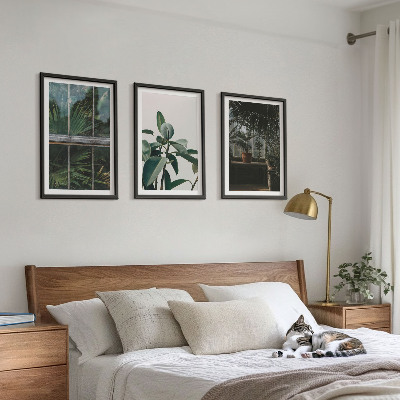 Tavelpaket med ramar Gröna blad på fönsterväxten