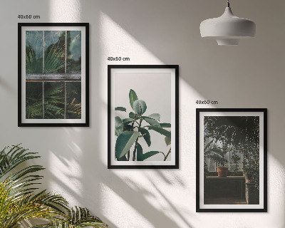 Tavelpaket med ramar Gröna blad på fönsterväxten