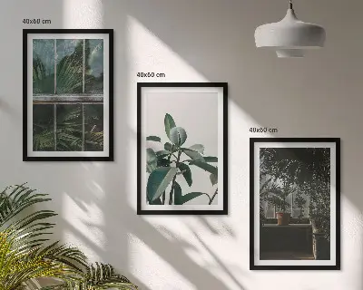 Tavelset med ramar gröna blad på krukväxt