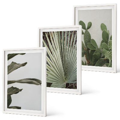 Tavelpaket med ramar Blad av tropiska växter i pastellfärger