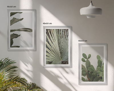 Tavelpaket med ramar Blad av tropiska växter i pastellfärger