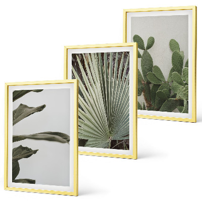Tavelpaket med ramar Blad av tropiska växter i pastellfärger