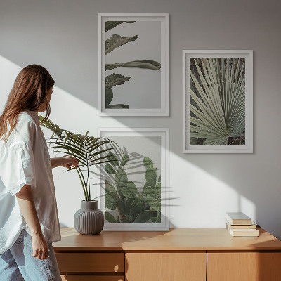 Tavelpaket med ramar Blad av tropiska växter i pastellfärger