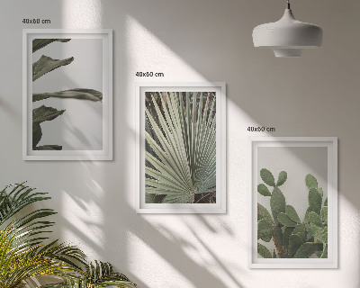 Tavelpaket med ramar Blad av tropiska växter i pastellfärger