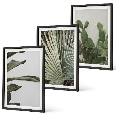Tavelpaket med ramar Blad av tropiska växter i pastellfärger
