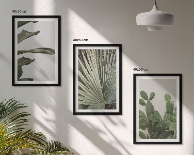 Tavelpaket med ramar Blad av tropiska växter i pastellfärger