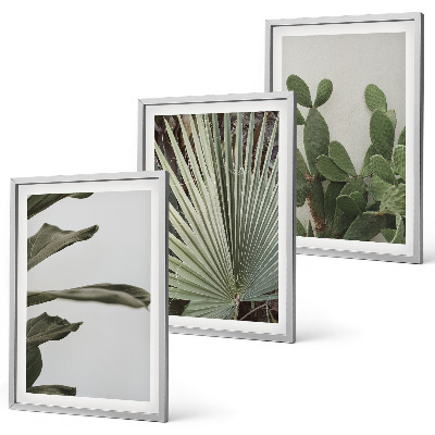 Tavelpaket med ramar Blad av tropiska växter i pastellfärger