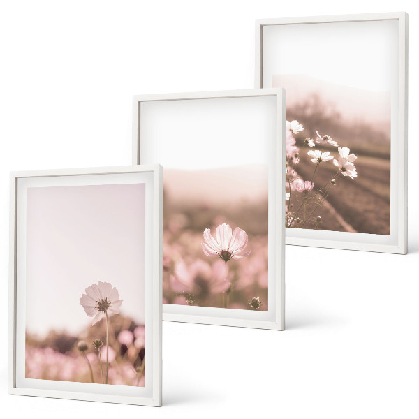Tavelpaket med ramar Vildblommande ängar sommarlandskap