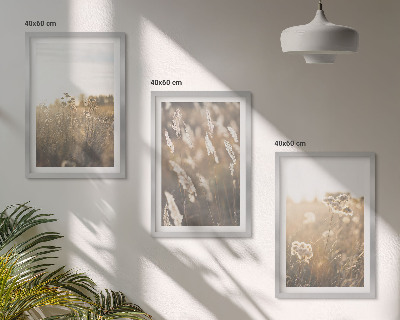 Set om 3 tavlor landskap gräs blommor värme