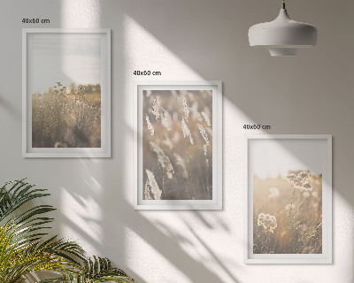 Set om 3 tavlor landskap gräs blommor värme