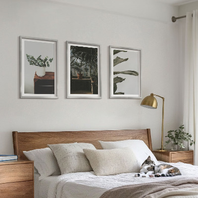 Tavelpaket med ramar Rustika krukväxter