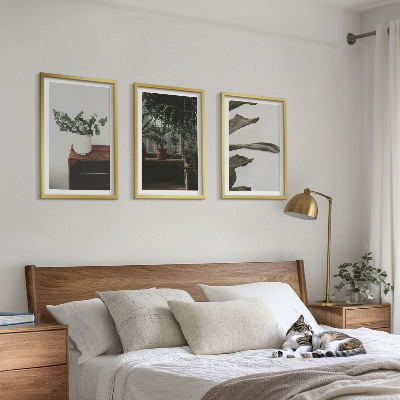 Tavelpaket med ramar Rustika krukväxter