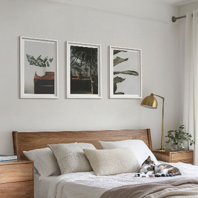 Tavelpaket med ramar Rustika krukväxter