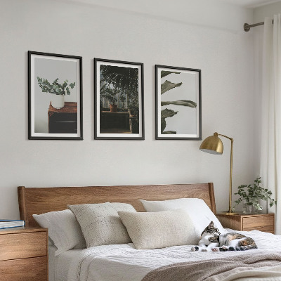 Tavelpaket med ramar Rustika krukväxter