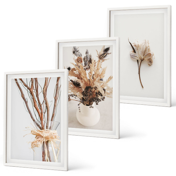 Tavelpaket med ramar Blommor och grenar minimalistiska