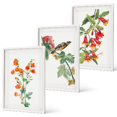 Tavelpaket med ramar Målade blommor och en fågel