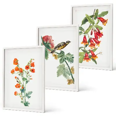 Målade blommor och en fågel tavelvägg med ramar