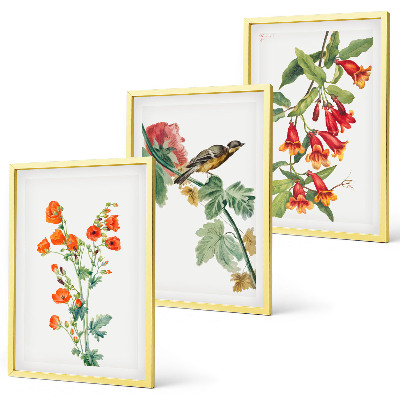 Tavelpaket med ramar Målade blommor och en fågel