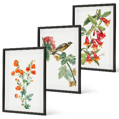 Tavelpaket med ramar Målade blommor och en fågel