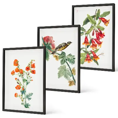Målade blommor och en fågel tavelvägg med ramar