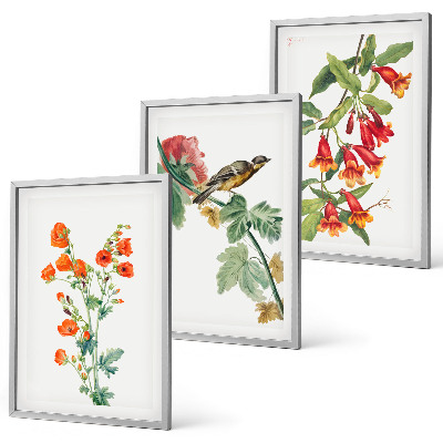 Tavelpaket med ramar Målade blommor och en fågel