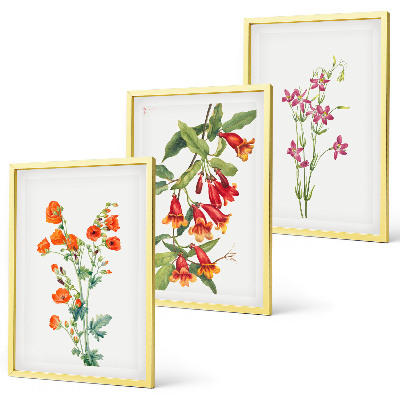Set om 3 tavlor Vintage retro blommålning