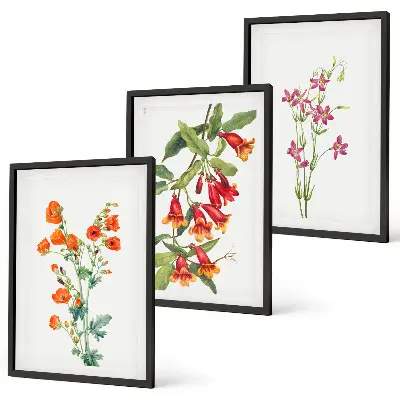 Blomstermålning i vintagestil set om 3 tavlor