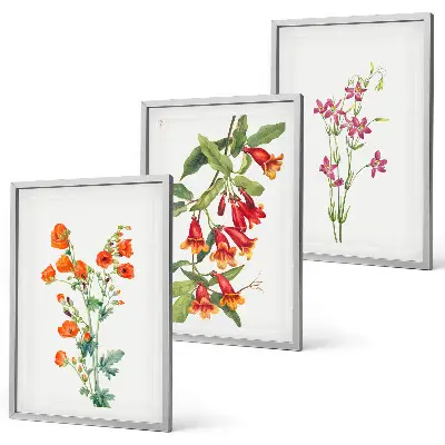 Blomstermålning i vintagestil set om 3 tavlor