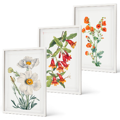 Tavelset ovanför soffa Retro blomsterarrangemang