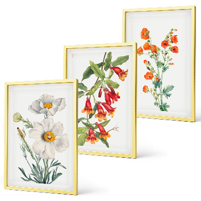 Tavelset ovanför soffa Retro blomsterarrangemang