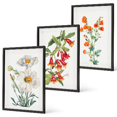 Tavelset ovanför soffa Retro blomsterarrangemang