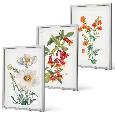 Tavelset ovanför soffa Retro blomsterarrangemang