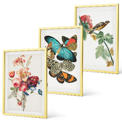 Tavelpaket med ramar Blommor fjärilar fågel pastell
