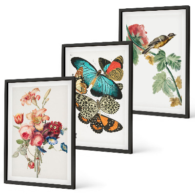 Tavelpaket med ramar Blommor fjärilar fågel pastell