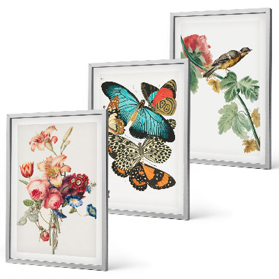 Tavelpaket med ramar Blommor fjärilar fågel pastell