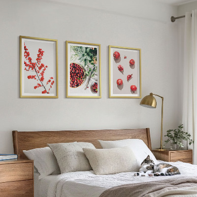 Tavelpaket med ramar Röda frukter av växter minimalism