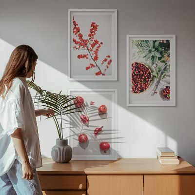Tavelpaket med ramar Röda frukter av växter minimalism